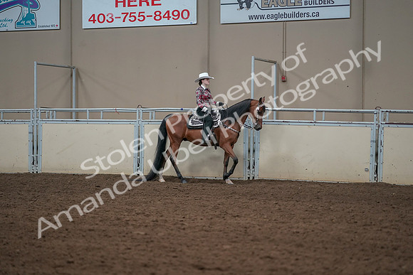 2019 Morgan Horse Show - Aug 30, 2019 - 26142