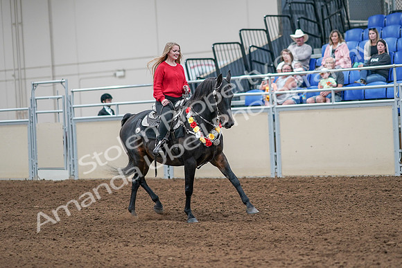 2020 - AB Morgan Horse - Sat, Sept 05 - 10500