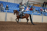 2020 - AB Morgan Horse - Sun, Sept 06 - 07464