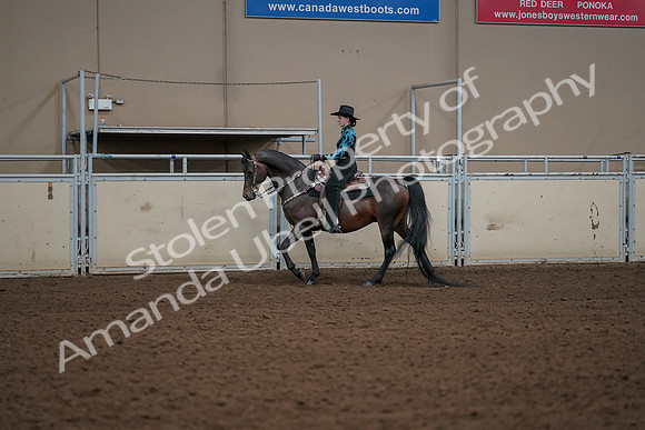 2019 Morgan Horse Show - Aug 30, 2019 - 26122