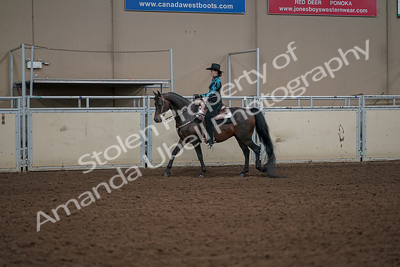 2019 Morgan Horse Show - Aug 30, 2019 - 26113