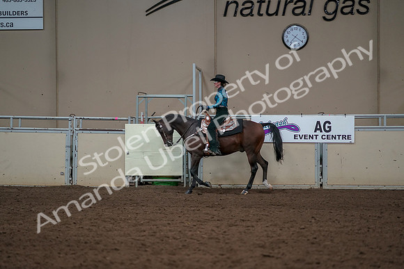 2019 Morgan Horse Show - Aug 30, 2019 - 26028