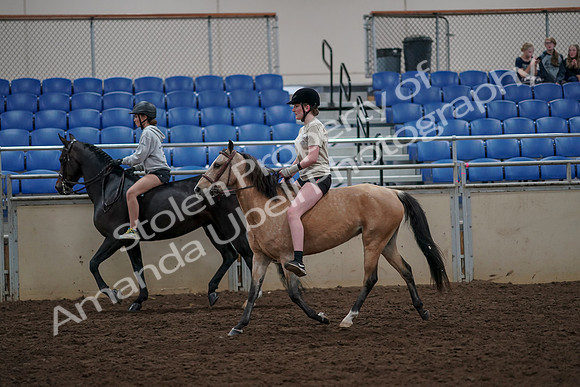 2019 Morgan Horse Show - Aug 30, 2019 - 31230