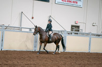 2020 - AB Morgan Horse - Sat, Sept 05 - 04961