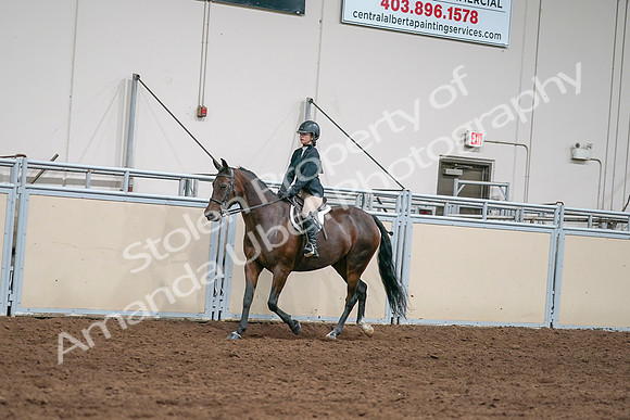 2020 - AB Morgan Horse - Sat, Sept 05 - 04961