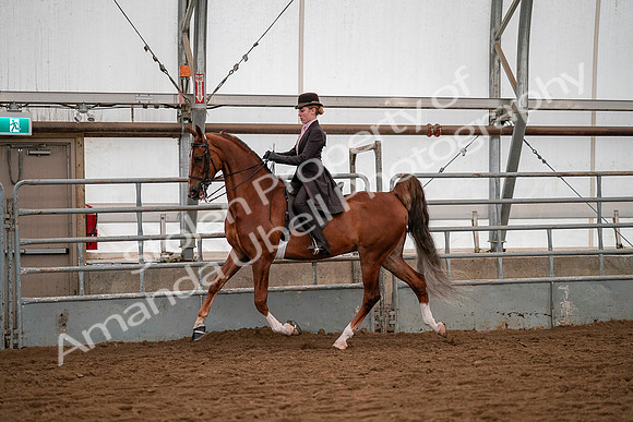 July 19, 2019 - 10343