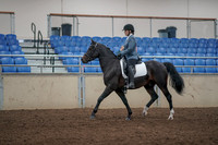 2019 Morgan Horse Show - Aug 31, 2019 - 07160