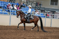 2020 - AB Morgan Horse - Sun, Sept 06 - 07460