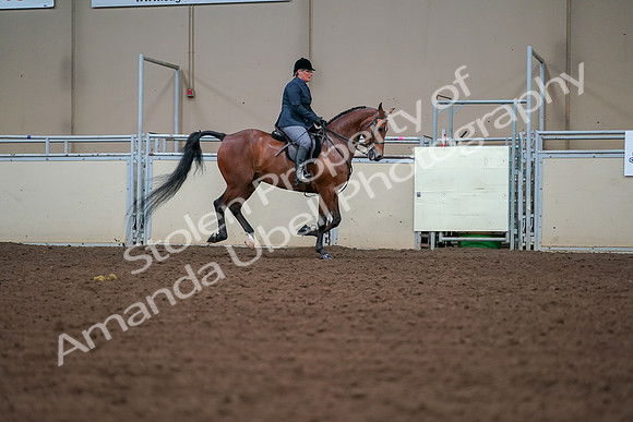 2019 Morgan Horse Show - Aug 30, 2019 - 20985