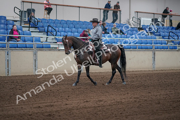 2019 Morgan Horse Show - Sept 01, 2019 - 06785