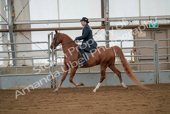 July 20, 2019 - 02110