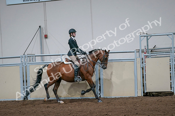 2020 - AB Morgan Horse - Fri, Sept 04 - 06013