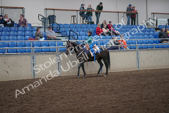 2019 Morgan Horse Show - Aug 31, 2019 - 16294