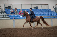 2019 Morgan Horse Show - Aug 30, 2019 - 26762