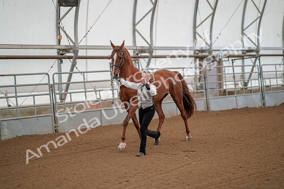 July 19, 2019 - 67