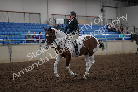 2019 Morgan Horse Show - Aug 30, 2019 - 31289