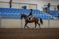 2019 Morgan Horse Show - Aug 31, 2019 - 05555