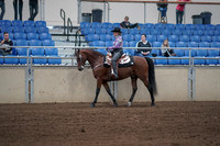 2019 Morgan Horse Show - Sept 01, 2019 - 06764