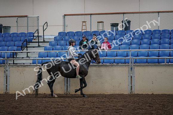 2019 Morgan Horse Show - Aug 30, 2019 - 31396