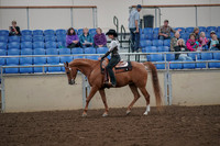2019 Morgan Horse Show - Aug 30, 2019 - 25874