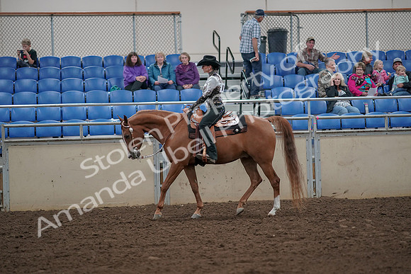 2019 Morgan Horse Show - Aug 30, 2019 - 25874