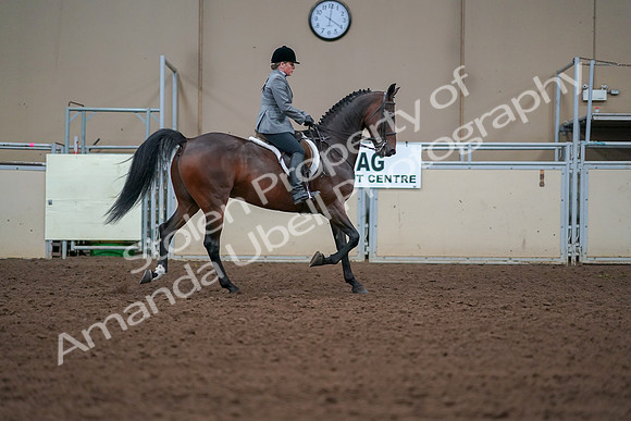 2019 Morgan Horse Show - Aug 30, 2019 - 20681