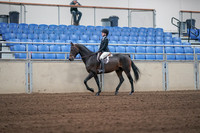 2019 Morgan Horse Show - Sept 01, 2019 - 03654