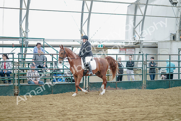 July 21, 2019 - 09583
