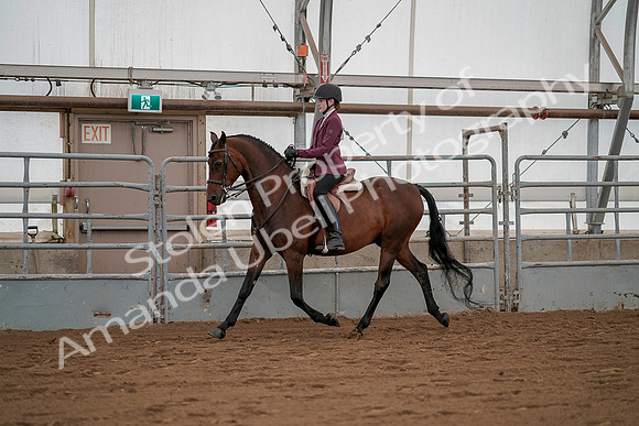 July 19, 2019 - 2582