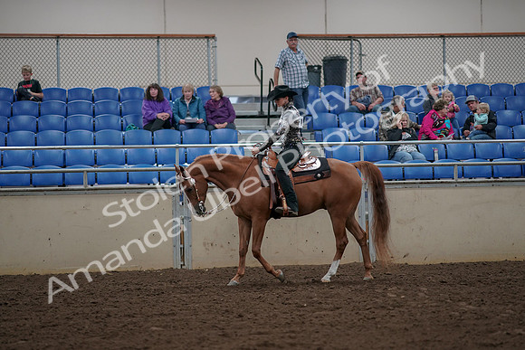 2019 Morgan Horse Show - Aug 30, 2019 - 26015