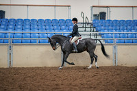 2019 Morgan Horse Show - Aug 30, 2019 - 23113
