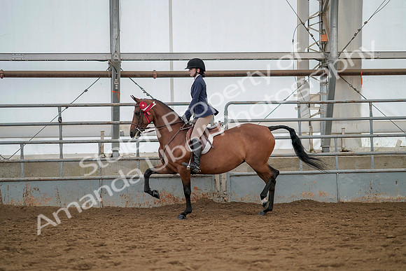 July 20, 2019 - 03518