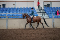 2019 Morgan Horse Show - Aug 31, 2019 - 17132