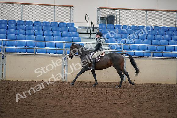 2019 Morgan Horse Show - Aug 30, 2019 - 12310
