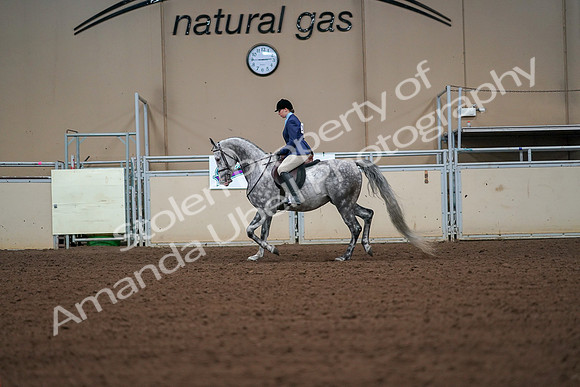 2019 Morgan Horse Show - Aug 30, 2019 - 16150