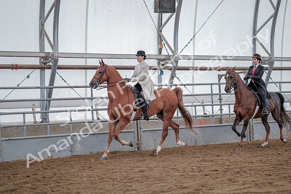July 20, 2019 - 14564