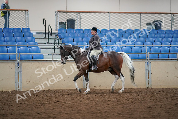 2019 Morgan Horse Show - Aug 30, 2019 - 22233