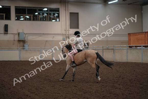 2019 Morgan Horse Show - Aug 30, 2019 - 31254