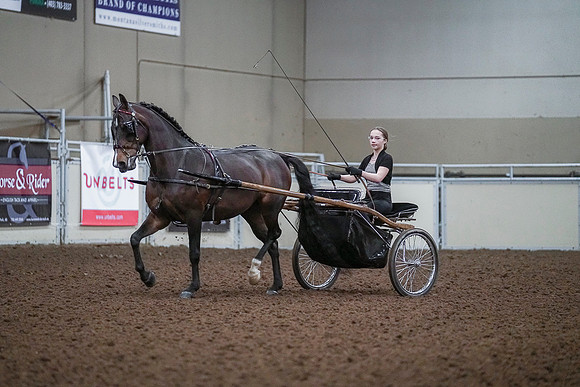 Spring Fling - Saturday - April 20, 2019  -  00202
