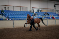 2019 Morgan Horse Show - Aug 31, 2019 - 00535