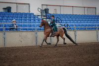 2019 Morgan Horse Show - Sept 01, 2019 - 13158