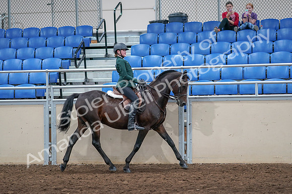 2020 - AB Morgan Horse - Sat, Sept 05 - 05174