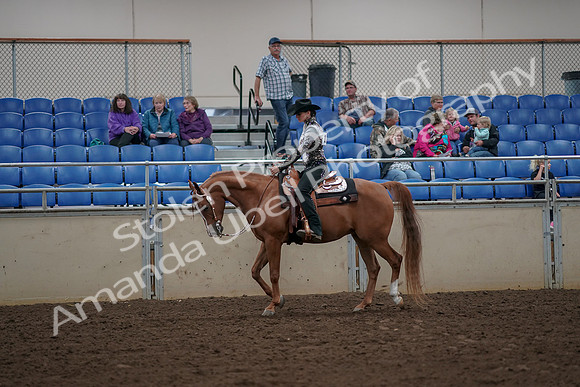 2019 Morgan Horse Show - Aug 30, 2019 - 26008