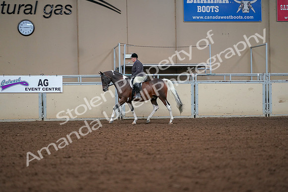 2019 Morgan Horse Show - Aug 30, 2019 - 16153