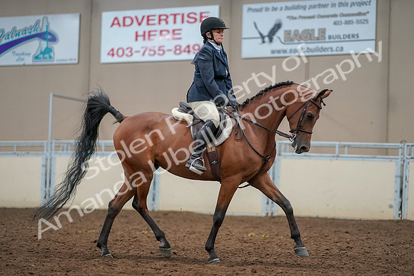 2019 Morgan Horse Show - Aug 30, 2019 - 22607