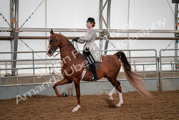 July 19, 2019 - 10431