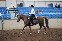 2019 Morgan Horse Show - Aug 31, 2019 - 14115