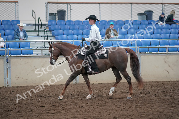 2019 Morgan Horse Show - Aug 31, 2019 - 14115