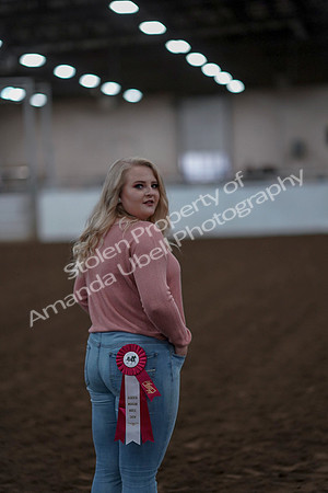 2019 Morgan Horse Show - Sept 01, 2019 - 12144