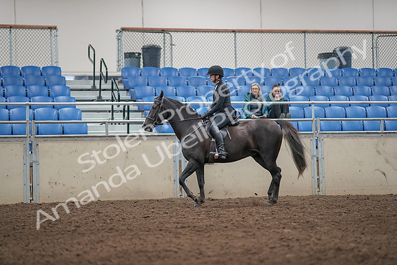 2019 Morgan Horse Show - Aug 31, 2019 - 07184